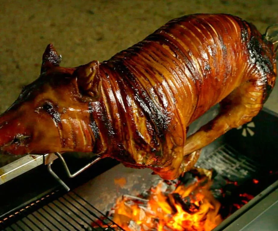 Spit Roasted Pig Served With Apple or BBQ sauce Stuffing & Crispy Crackling
