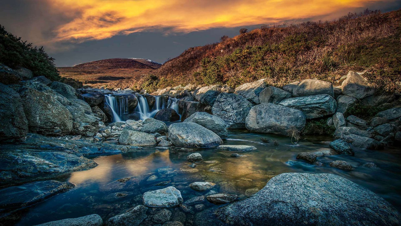 Donard