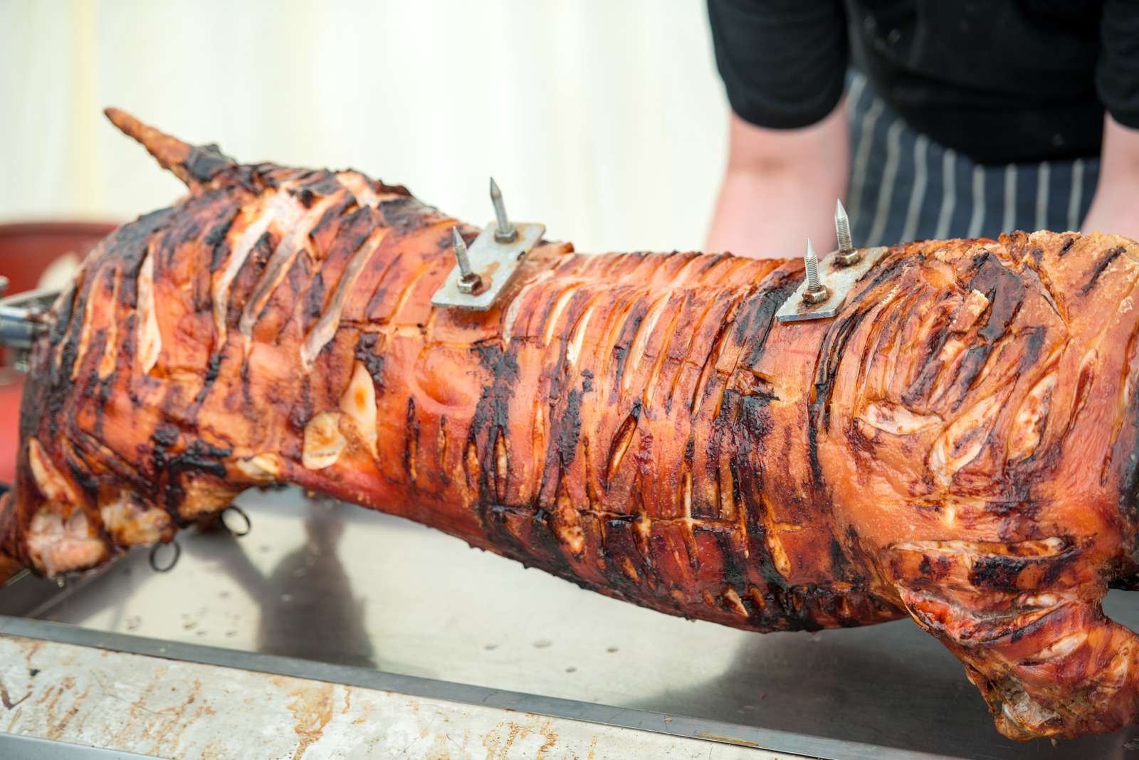 Hog roast at a  party roasted